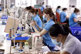 Vietnamese economy proceeding as predicted: experts