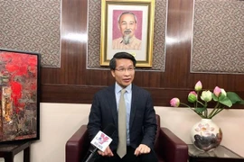 2023 marks success of Vietnamese-Hong Kong relations: Consul General