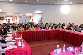 Vietnamese Association in Czech Republic fosters connectivity