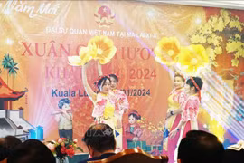 Vietnamese in Malaysia, Brunei enjoy Tet 