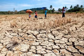 El Nino costs Philippine agriculture up to nearly 19 mln USD