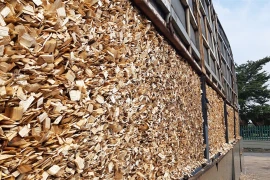 China becomes Vietnam's largest wood chip export market