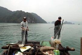 Waste collection in Ha Long Bay intensified