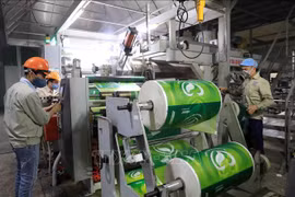 Packaging among sectors with highest growth in Vietnam: insiders