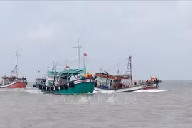 Bac Lieu increases local fishermen's awareness of IUU fishing