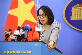 Vietnam deeply concerned about recent tension in East Sea: Spokeswoman