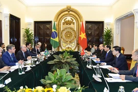Vietnam, Brazil attach importance to bilateral ties