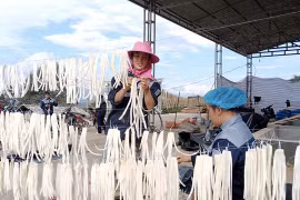 First container of Ha Giang pickled daikon in 2024 exported to Japan