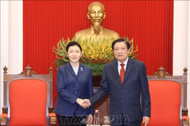 Vietnamese Party official receives Chinese Minister of Justice