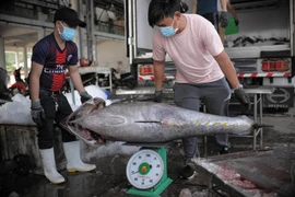 Middle East the fourth largest importer of Vietnamese tuna: Association