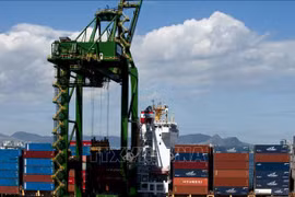 Brazil increases imports from Vietnam