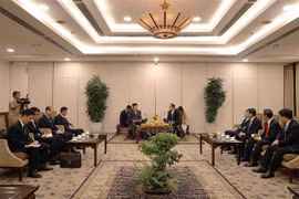 HCM City wishes to strengthen cooperation with DPRK localities: Official
