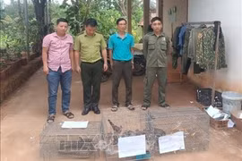 Wild animals handed over to Bu Gia Map National Park