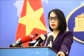 Three of 14 migrants found in container in Ireland seaport believed to be Vietnamese: FM spokesperson