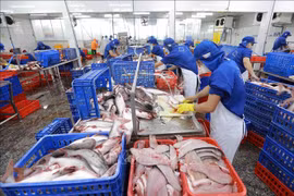 Vietnam, New Zealand eye further trade growth 