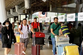 Tan Son Nhat airport sees passenger dip during just-ended holiday