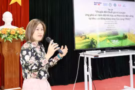 An Giang receives help to transform rice value chains for better climate resilience