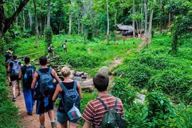 Vietnam advised to promote development of forest-based ecotourism
