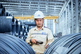 Hoa Phat’s profit up 2.5 times in Q4 last year