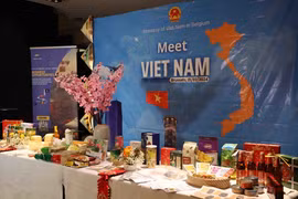 Measures sought to promote Vietnam-Belgium cooperation