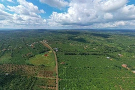 Dak Lak firm pioneers in following EUDR in coffee production