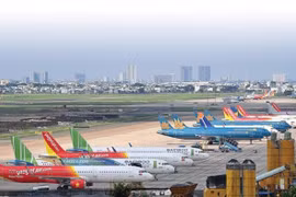 Domestic aviation industry poised for full recovery in late 2024
