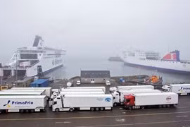 Embassy ready for citizen protection measures regarding case of migrants found in container in Rosslare port