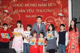 Lunar New Year gathering held in Sweden