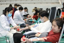 Ha Nam collects over 6,000 blood units during Red Spring Festival