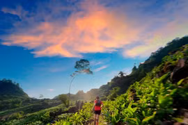 More than 2,200 runners to join Vietnam Ultra Marathon