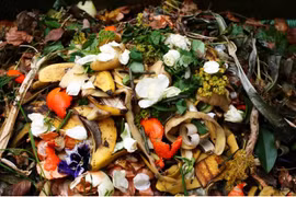 Thai researchers turn food waste into biochar