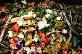 Thai researchers turn food waste into biochar