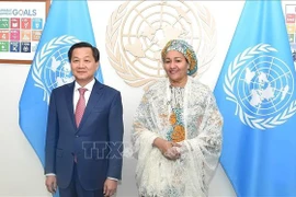 Deputy PM Le Minh Khai meets UN Deputy Secretary General