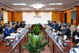 Vietnam, Germany boost cooperation in industry, trade, energy