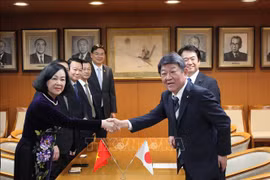 Vietnamese Party delegation pays working visit to Japan