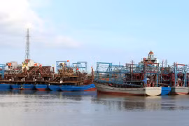 Nam Dinh province resolved to fight IUU fishing