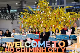Vietnam Airlines carries year's first visitors