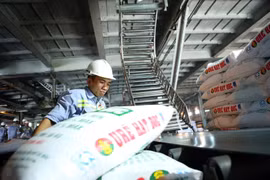 Ca Mau Petroleum Fertiliser JSC sets sight on Australia, NZ