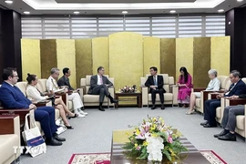 Da Nang seeks cooperation with French partners