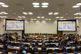 Vietnam committed to combat illegal trade of small arms, light weapons