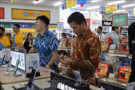 Vietnamese company opens 50th store in Indonesia