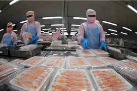 Aquatic product exports to recover only slightly in H1: Association