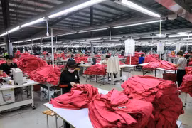 Increasing number of new firms gives rosy signs to national economy