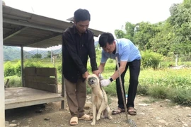 PM requests strict rabies prevention and control