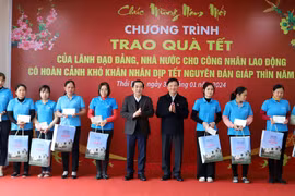 NA Vice Chairman presents Tet gifts to locals in Thai Binh