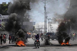 Vietnamese citizens advised not to travel to conflict areas