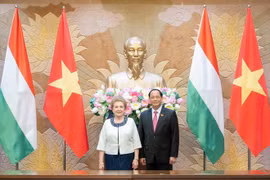 Vietnam, Hungary strengthen parliamentary supervision of bilateral agreements