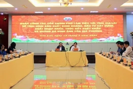 Gia Lai urged to promote administrative reform