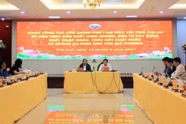 Gia Lai urged to promote administrative reform