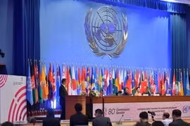 Vietnam vows to achieve Sustainable Development Goals: Diplomat